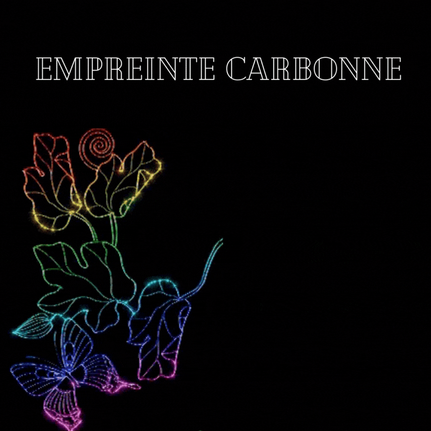 carbonne.gif