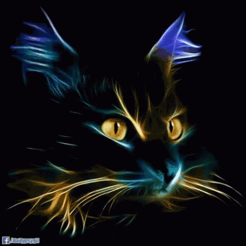 20d50741.gif