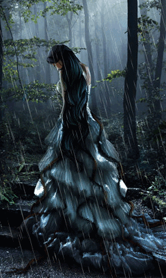 rainyfores_fbe9w57w.gif