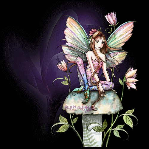cont2.gif