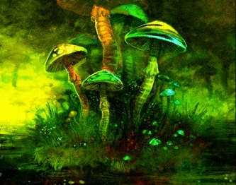7eafdd37d03e5d96e38e231482578464.gif