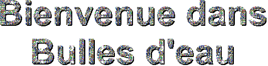 text13.gif