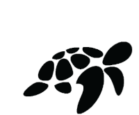 honu.gif