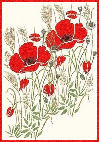 3b6.gif
