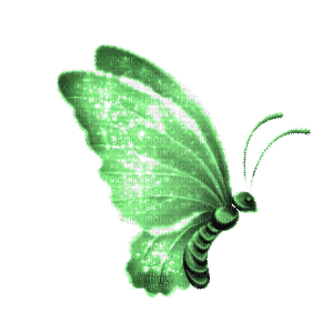 2248255_957dd.gif