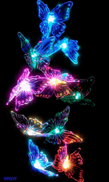 butterfly-colorful.gif