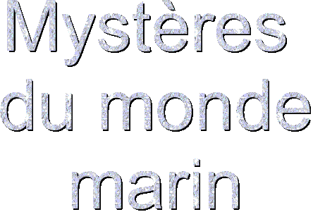 text (3).gif