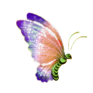 2248254_587a7.gif