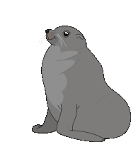 sseal.gif