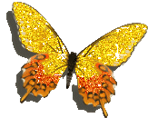 butterfly-glitter.gif