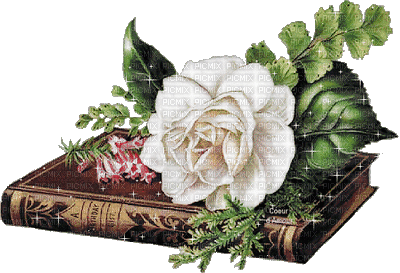 livre.gif