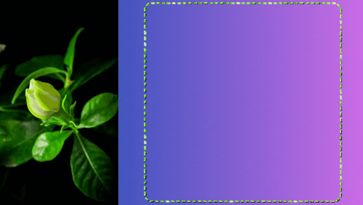 eco1.gif