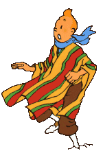 tintin021.gif