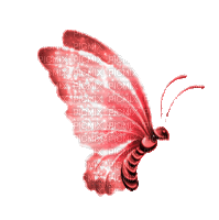 22259_2f85c.gif