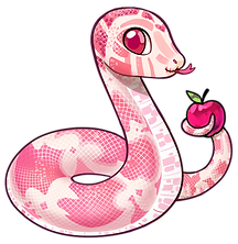 Faust the Pink Corn Snake
