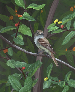 gray flycatcher - small.jpg