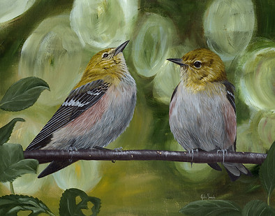 PIne Warblers on Branch - small.jpg