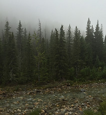 Alberta Big Game Outfitters