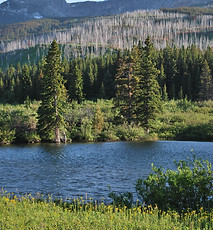 Alberta Big Game Outfitters