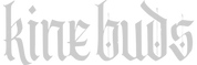 Kine Buds_edited.png
