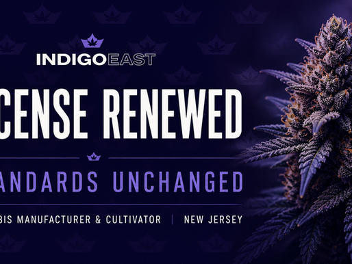 Indigo East licensed cannabis manufacturer & cultivator in New Jersey announcement with cannabis flower and license renewal message