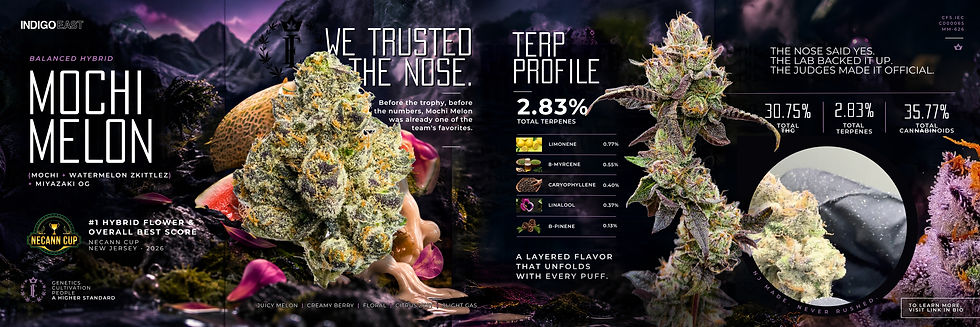 Cannabis strain ad for Mochi Melon with frosty buds, terpene profile stats, purple mountain backdrop, and award text on dark background