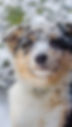 arcs%20snow_edited.jpg