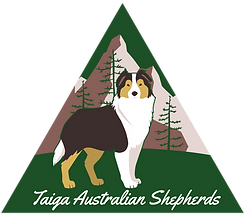 Taiga%20Breeding%20Logo%20TRANSPARENT%20BG_edited.png