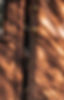 284270107_2938860792927467_6739835258367966257_n.jpg