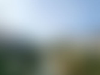 תצפית מבחוץ