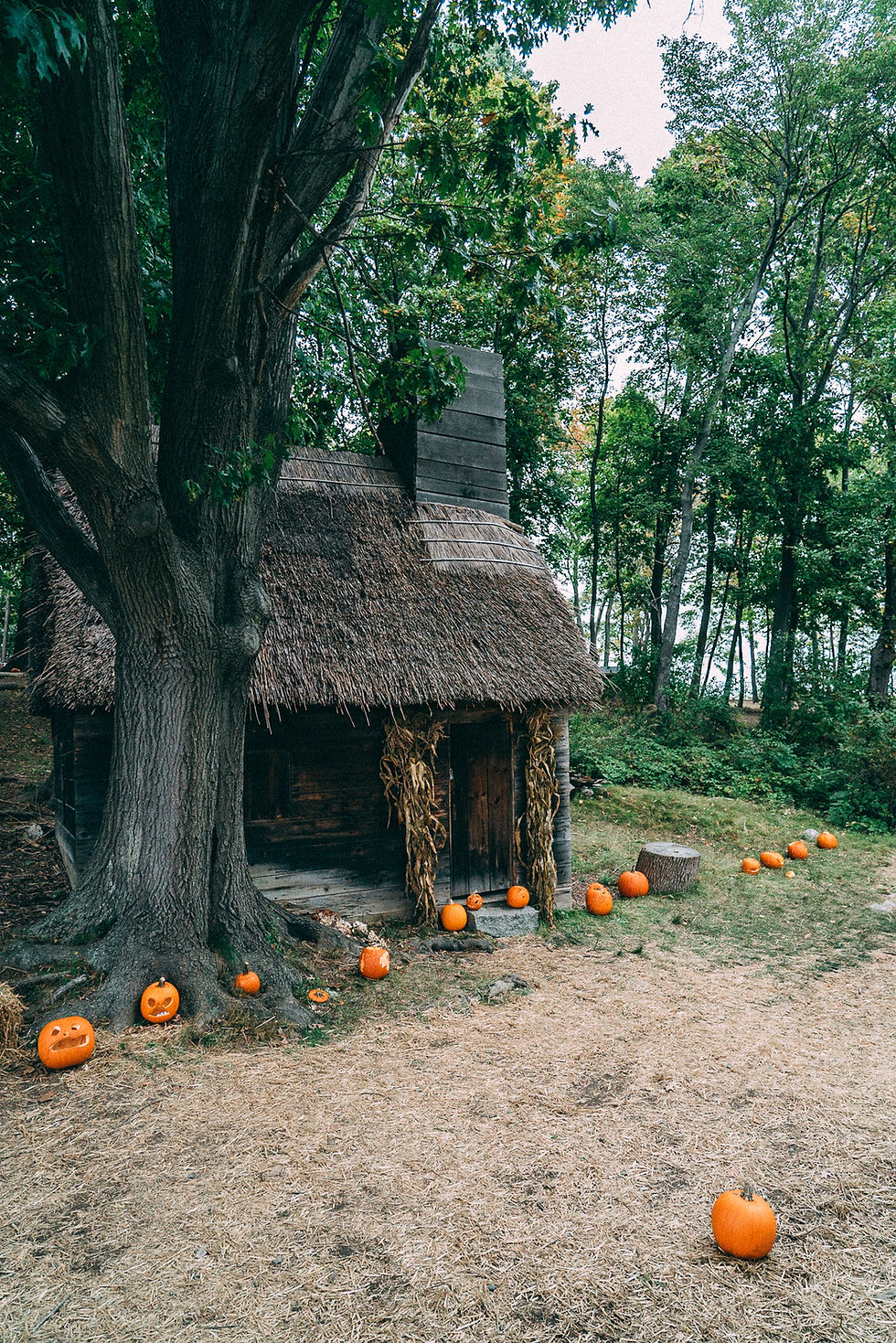 Hocus Pocus Filming Locations in Salem, MA