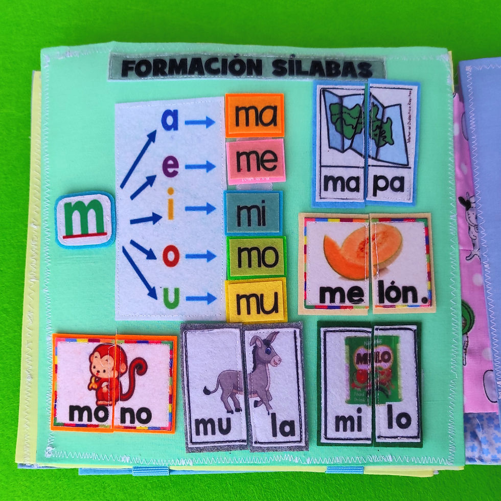 Miniatura: Libro escolar - 5 años
