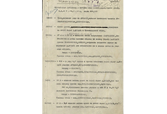 оперативная директива