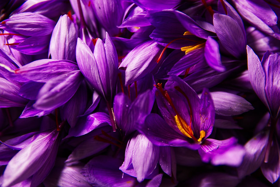 saffron-g0609c1797_1920.jpg