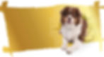 Pawsite banner IMG.jpg