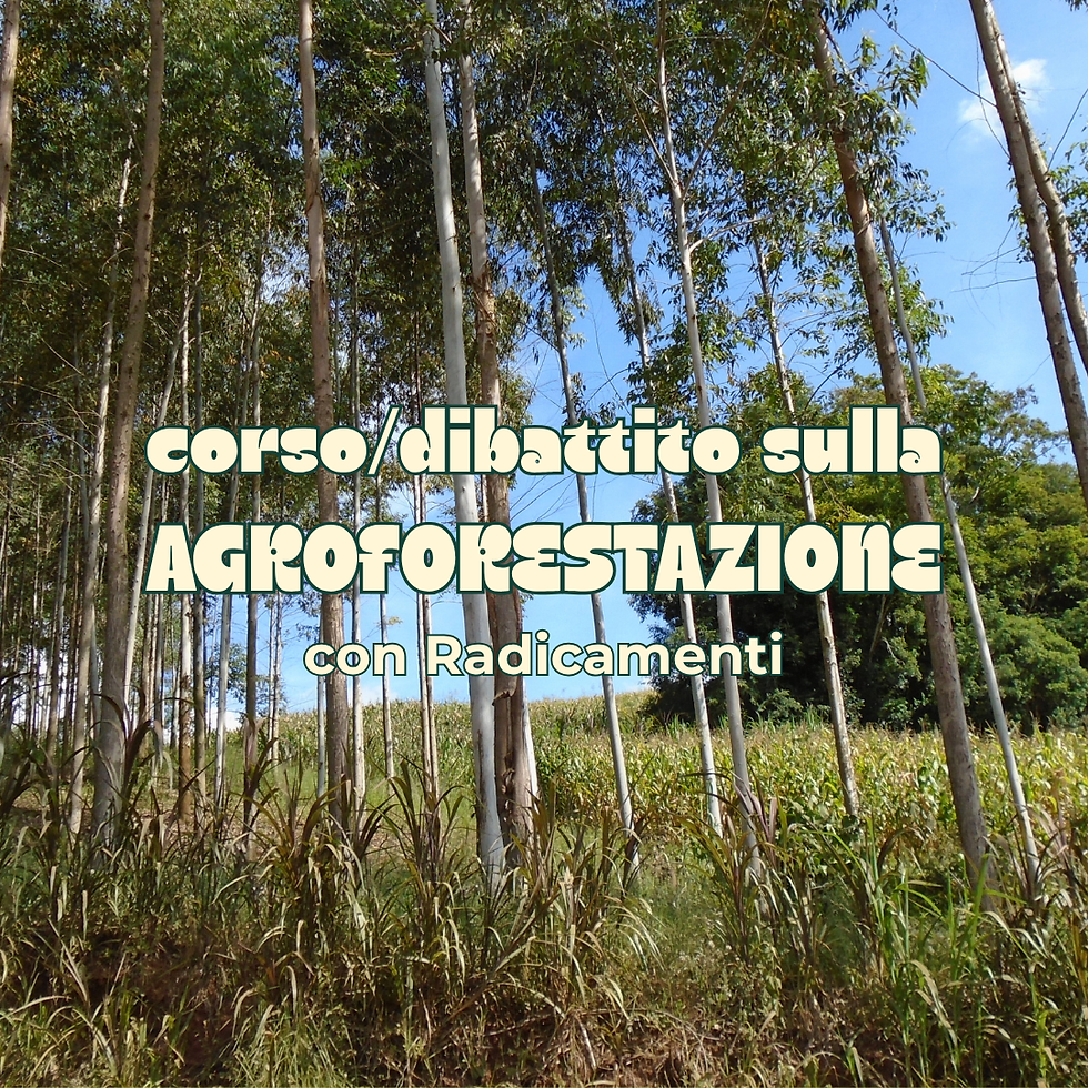 Corso di Agroforestazione