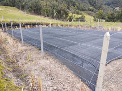 Reservorio Susa