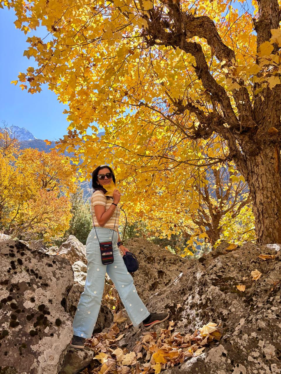 Autumn in Himalayas