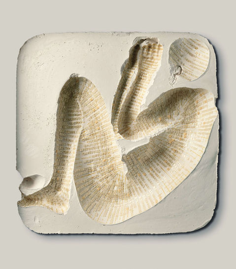 Remnant 8: The Lost Men France
2014
Plater of Paris, polyethylene letters
45 x 54 x 10 cm
Photographed by Victor Sguassero, Goodlight Studios