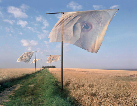 ‘The Lost Men France’
1 July – 1 October 2014
Counter-memorial, World War One Centenary, Thiepval Memorial to the Missing of the Somme, Picardy, northern France
Five pigment-printed photographs (500 x 500 cm each), silk, steel
7 x 7 x 300 metres