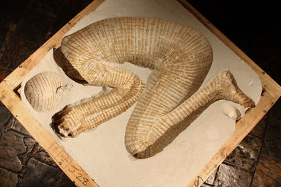 Paul Emmanuel
The Reservoir, Oliewenhuis Art Museum, Bloemfontein, Free State, South Africa.
25 May – 9 July 2017
Photo: Kobus Robertse
