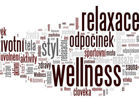 wordcloud co je to wellness