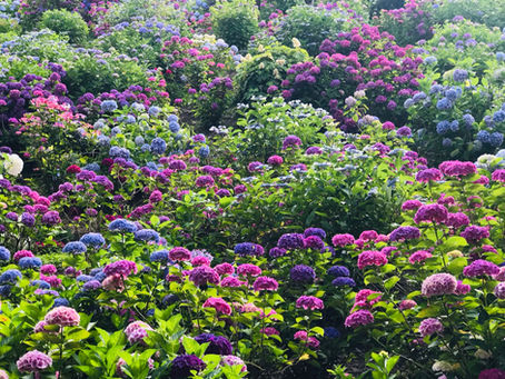 ただ今、準備中