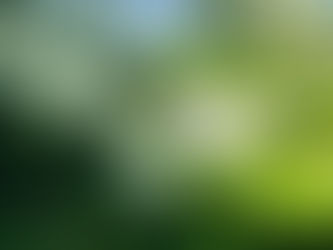 頭の回転がはやくなる!?