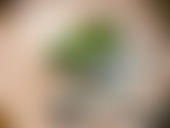 優しさが染みる