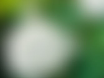 おやすみなさい⭐