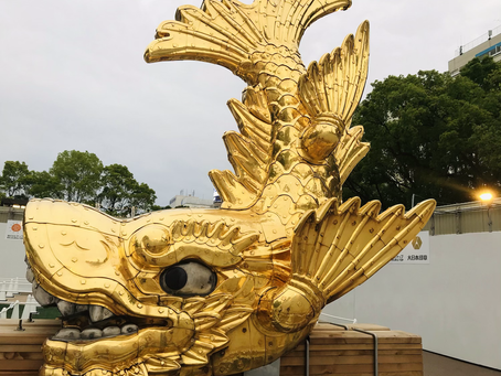 どちらが雄で、どちらが雌でしょうか?