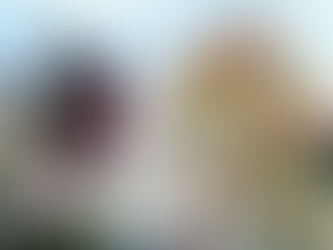 この季節の好きなもの