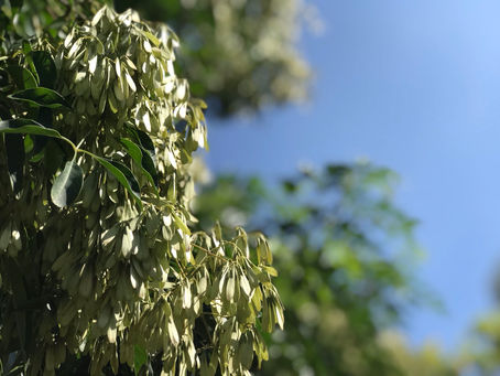 ゆるりとした休日を計画しながら…