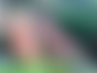 明日からお休みですね💕